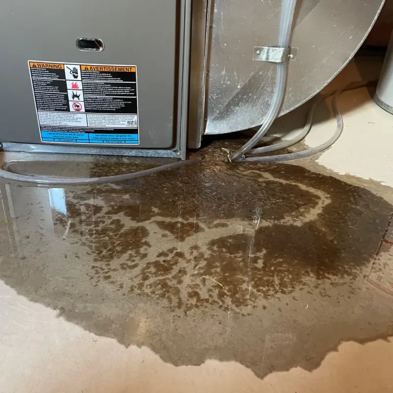 Appliance Leak Cleanup in Garrison, MD